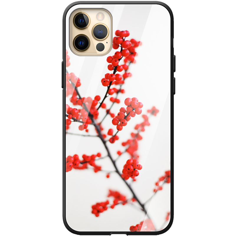 Защитный чехол BoxFace Glossy Panel Apple iPhone 12 Pro Max 