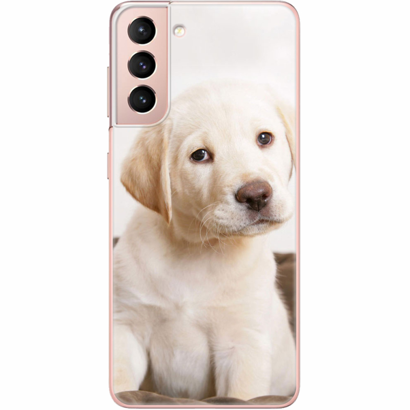 Чехол BoxFace Samsung G991 Galaxy S21 Puppy Labrador