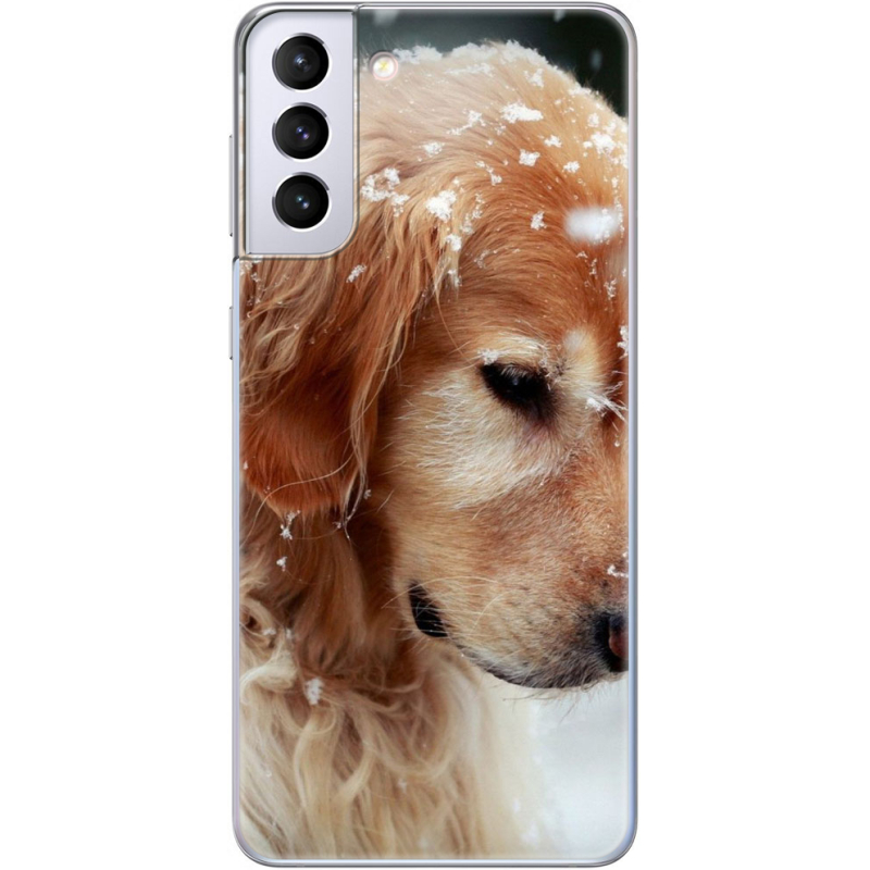 Чехол BoxFace Samsung G996 Galaxy S21 Plus Golden Retriever