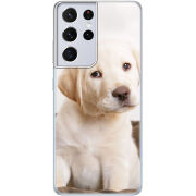 Чехол BoxFace Samsung G998 Galaxy S21 Ultra Puppy Labrador