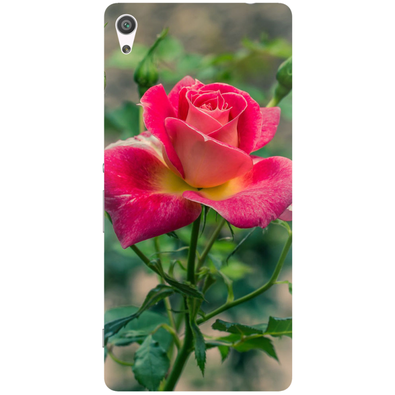 Чехол Uprint Sony Xperia XA Ultra Dual F3212 