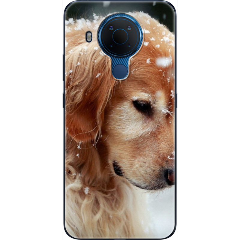 Чехол BoxFace Nokia 5.4 Golden Retriever