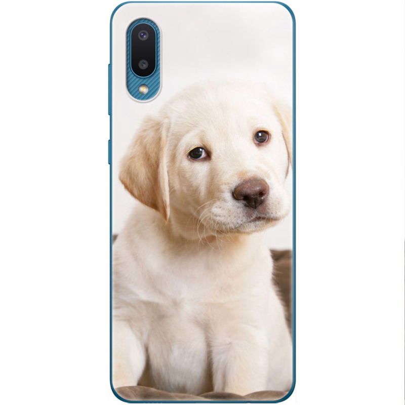 Чехол BoxFace Samsung A022 Galaxy A02 Puppy Labrador