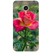 Чехол Uprint Meizu MX4 