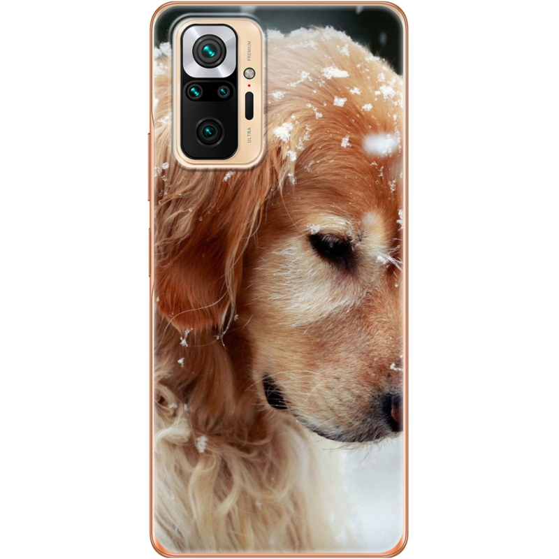 Чехол BoxFace Xiaomi Redmi Note 10 Pro Golden Retriever