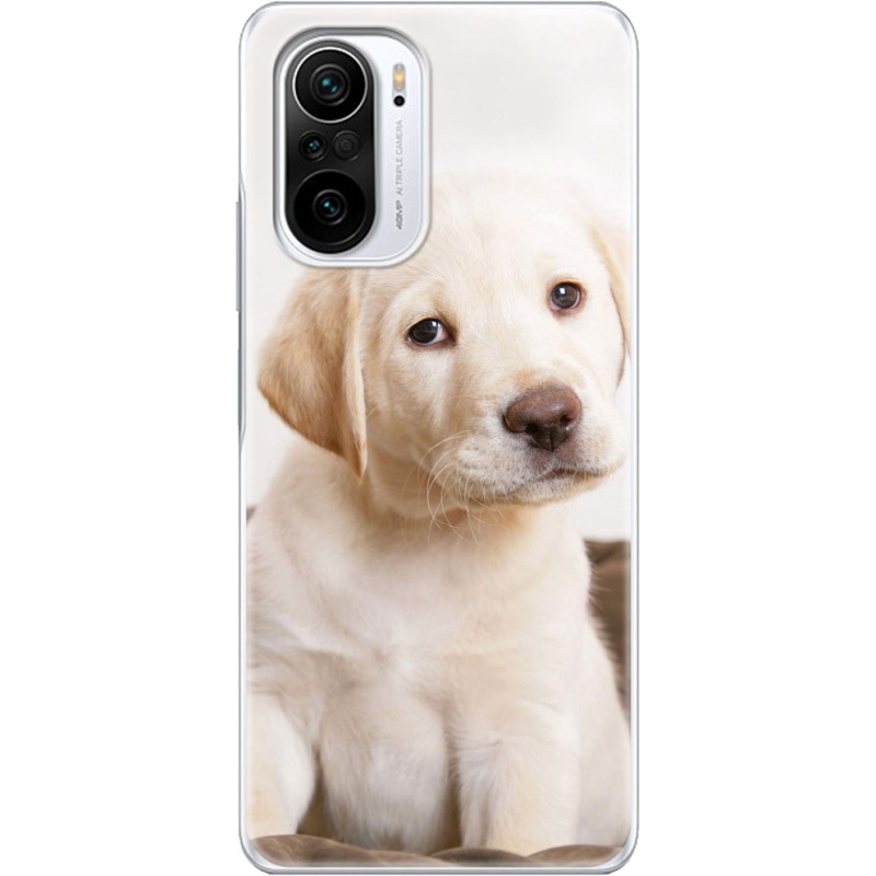 Чехол BoxFace Poco F3 Puppy Labrador