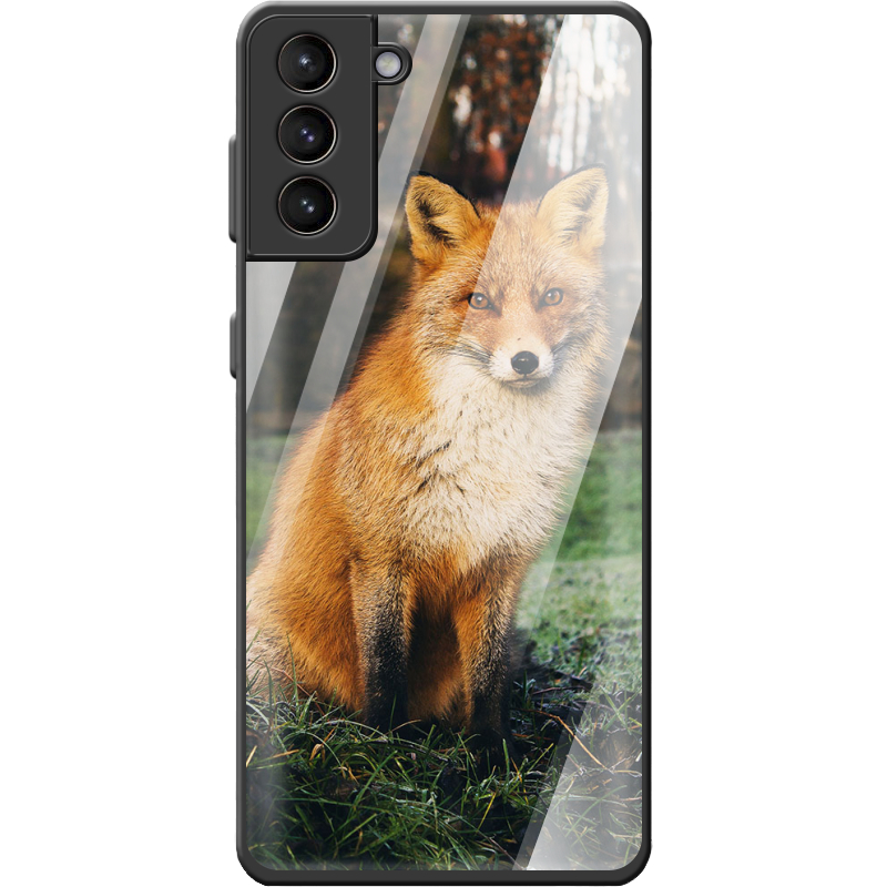 Защитный чехол BoxFace Glossy Panel Samsung G996 Galaxy S21 Plus 