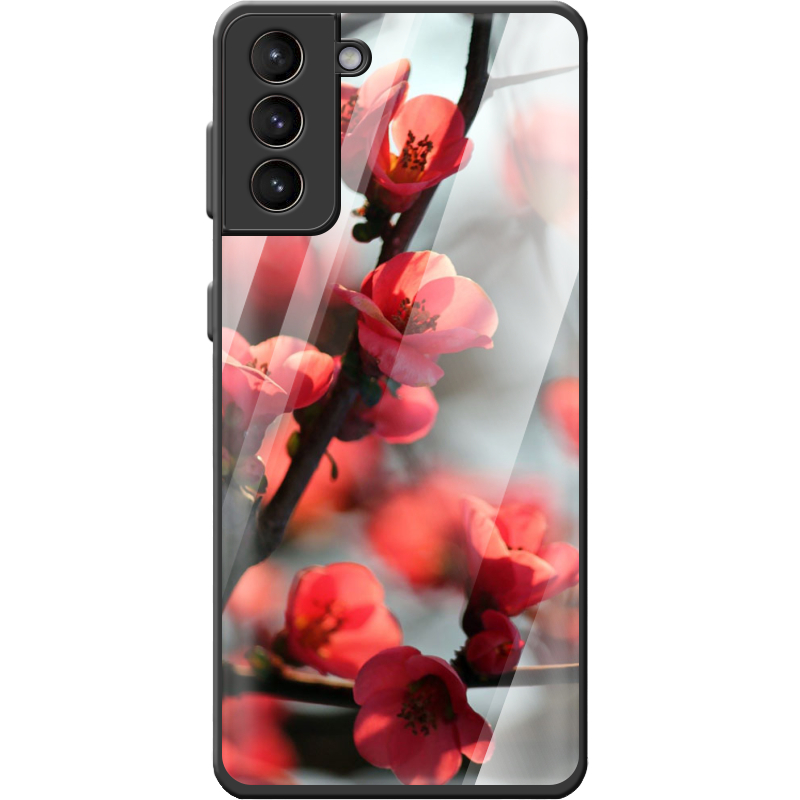 Защитный чехол BoxFace Glossy Panel Samsung G996 Galaxy S21 Plus 