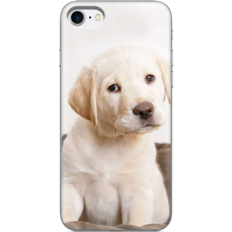 Чехол Uprint Apple iPhone 7/8 Puppy Labrador