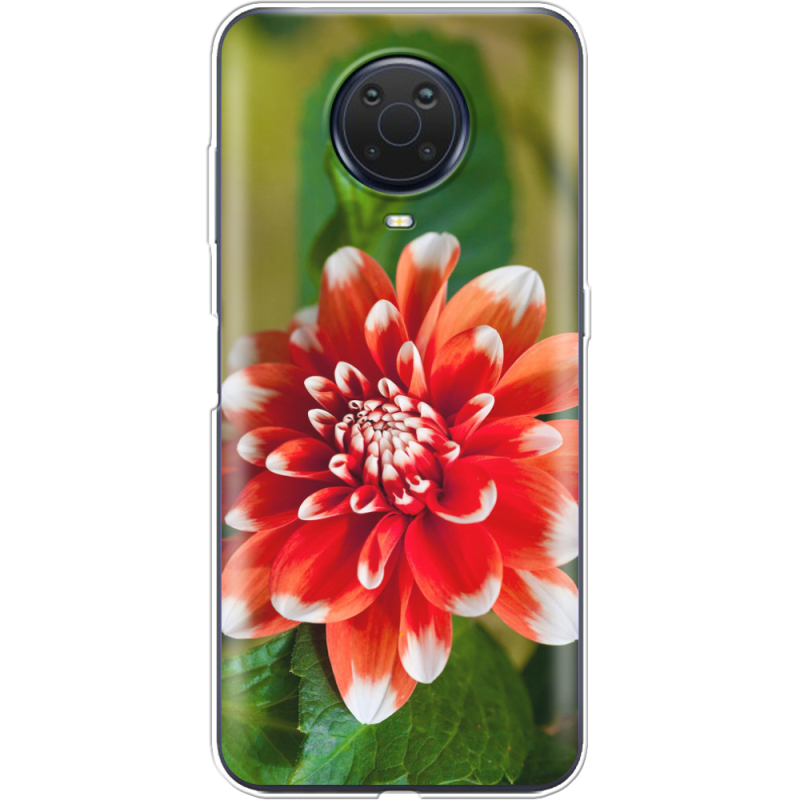 Чехол BoxFace Nokia G20 