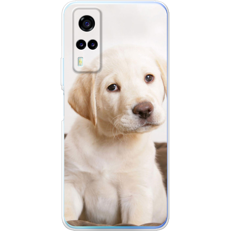 Чехол BoxFace Vivo Y31 Puppy Labrador