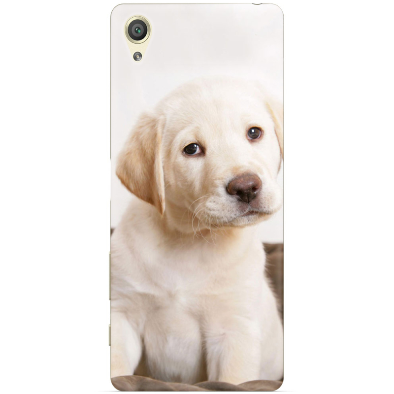 Чехол Uprint Sony Xperia X Performance Dual Puppy Labrador