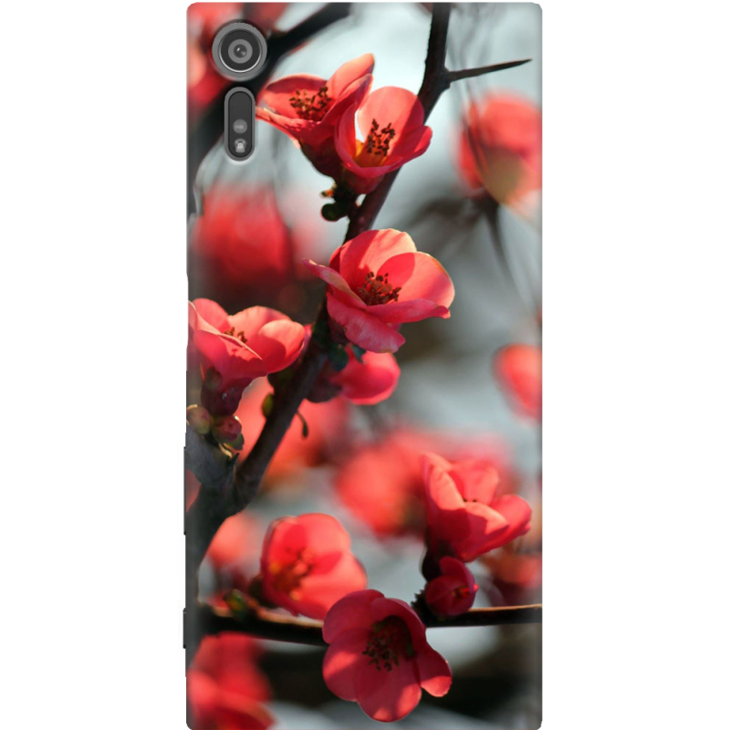 Чехол Uprint Sony Xperia XZ F8332 Awakening Spring