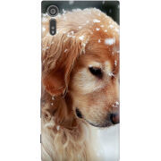 Чехол Uprint Sony Xperia XZ F8332 Golden Retriever