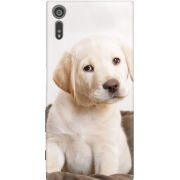 Чехол Uprint Sony Xperia XZ F8332 Puppy Labrador