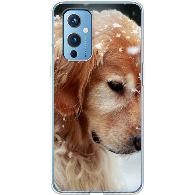 Чехол BoxFace OnePlus 9 Golden Retriever