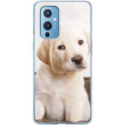 Чехол BoxFace OnePlus 9 Puppy Labrador