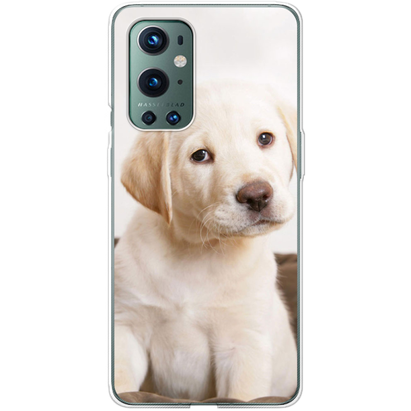 Чехол BoxFace OnePlus 9 Pro Puppy Labrador