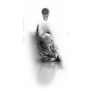 Чехол Uprint Lenovo P2 P2a42 