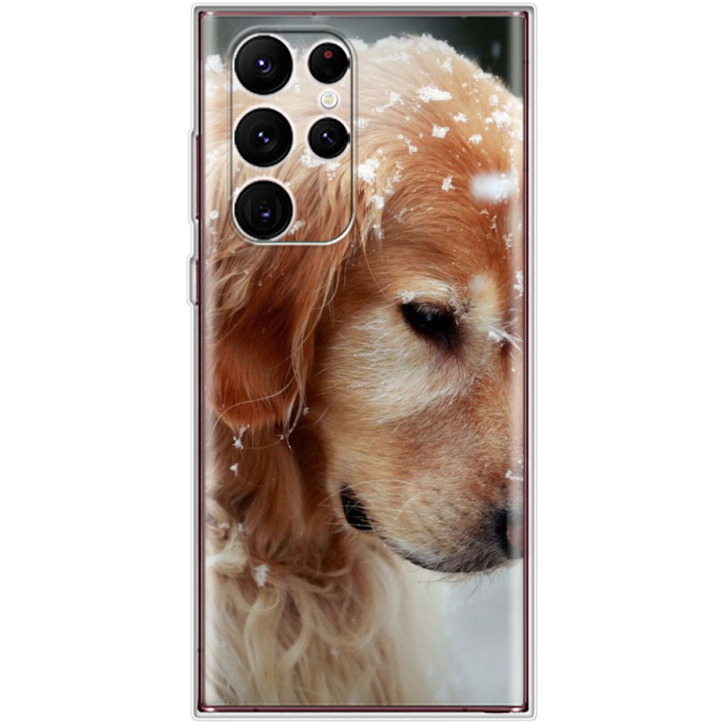 Чехол BoxFace Samsung Galaxy S22 Ultra (S908) Golden Retriever