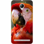 Чехол Uprint Lenovo C2 Power K10a40 