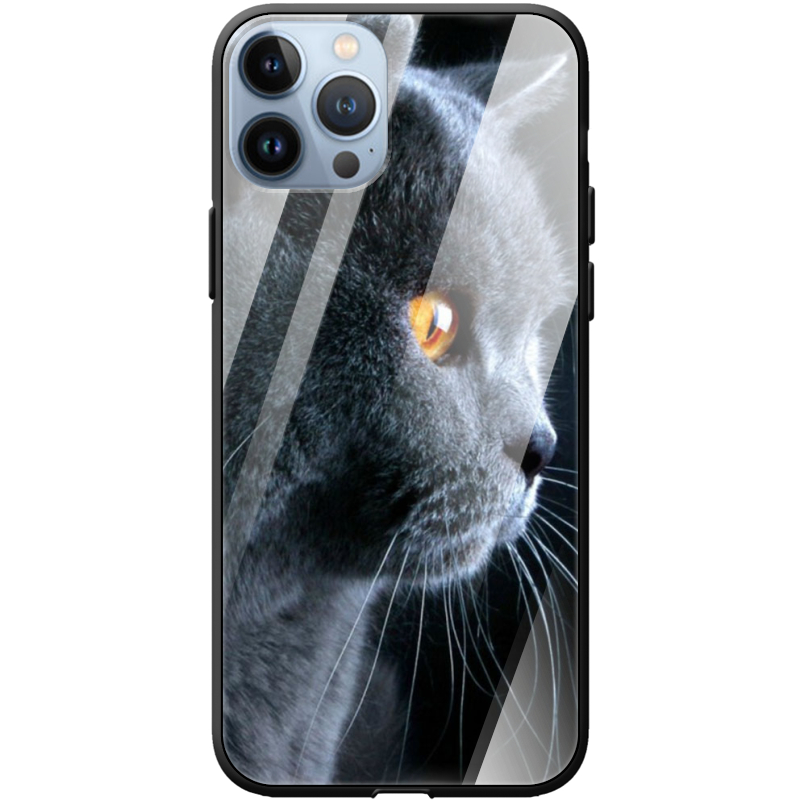 Защитный чехол BoxFace Glossy Panel Apple iPhone 13 Pro Max 