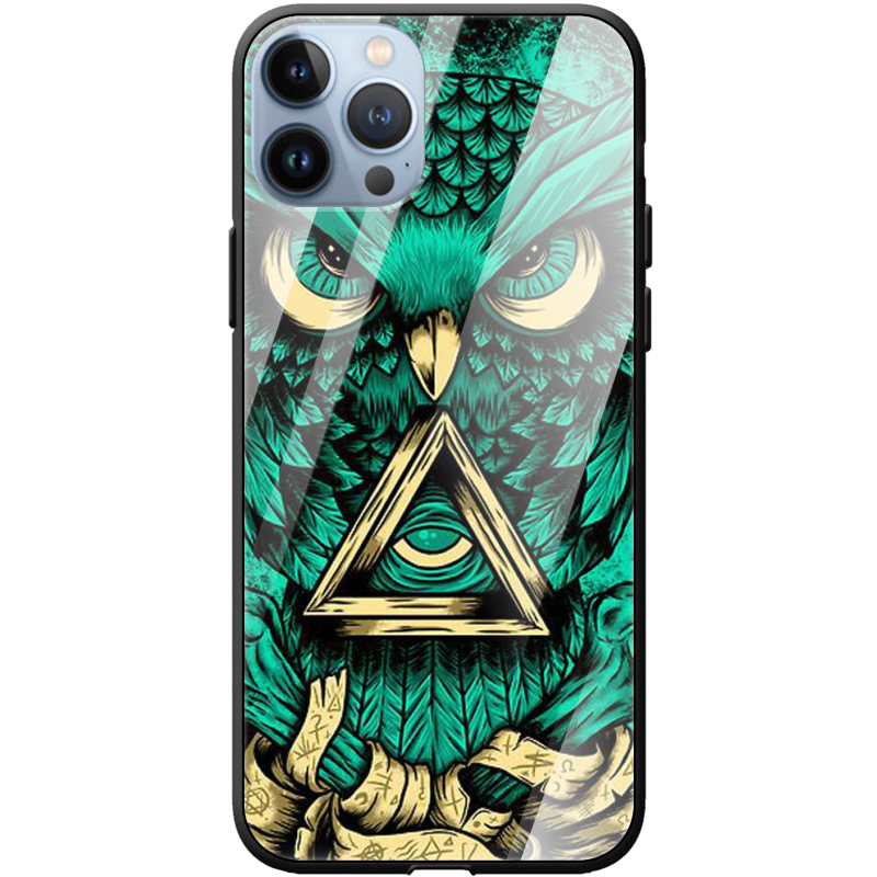Защитный чехол BoxFace Glossy Panel Apple iPhone 13 Pro Max Masonic Owl