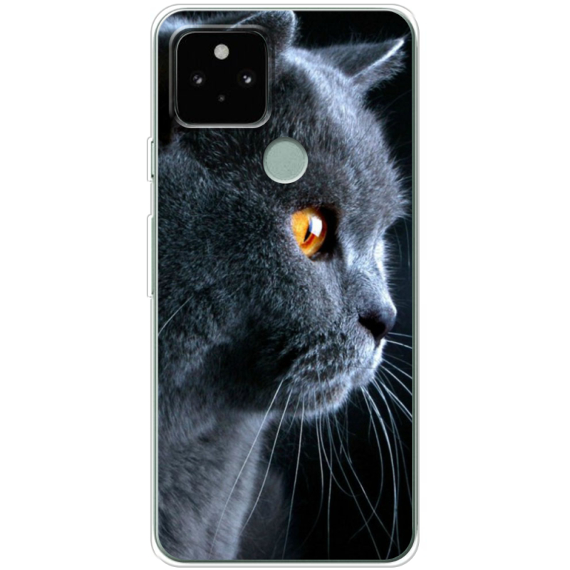 Чехол Uprint Google Pixel 5 English cat