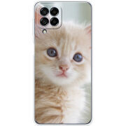 Чехол BoxFace Samsung Galaxy M53 5G (M536)  Animation Kittens