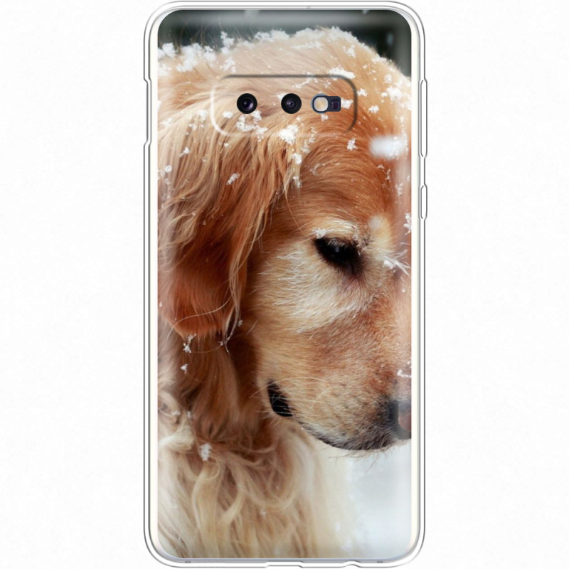 Чехол Uprint Samsung G970 Galaxy S10e Golden Retriever