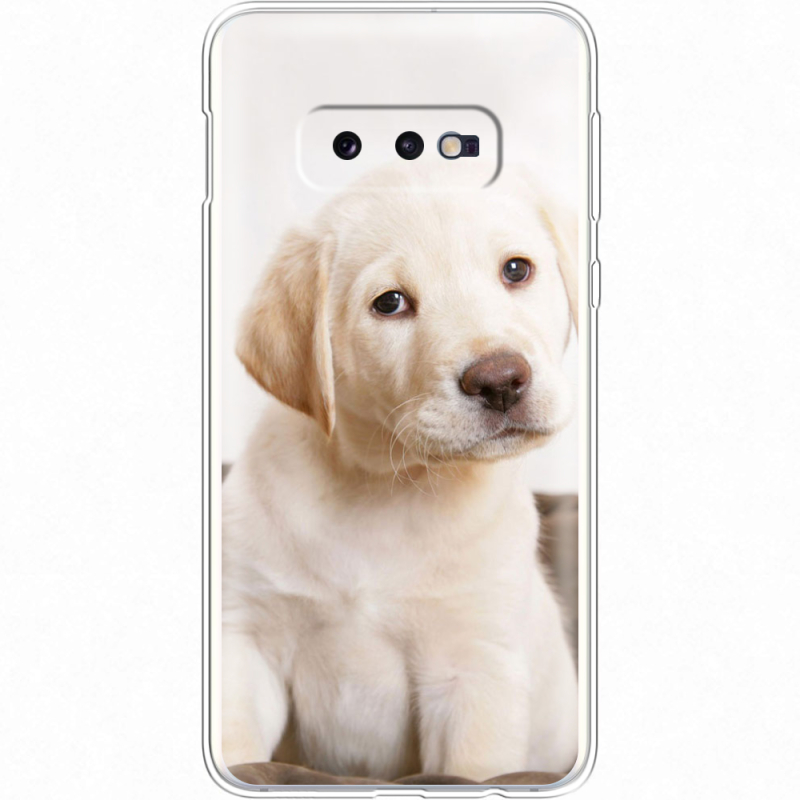 Чехол Uprint Samsung G970 Galaxy S10e Puppy Labrador