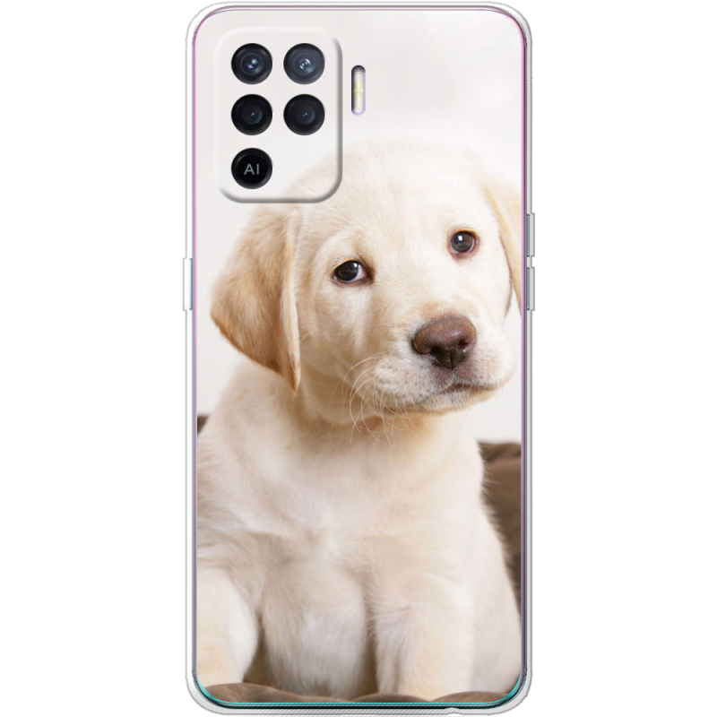 Чехол BoxFace OPPO Reno5 Lite Puppy Labrador