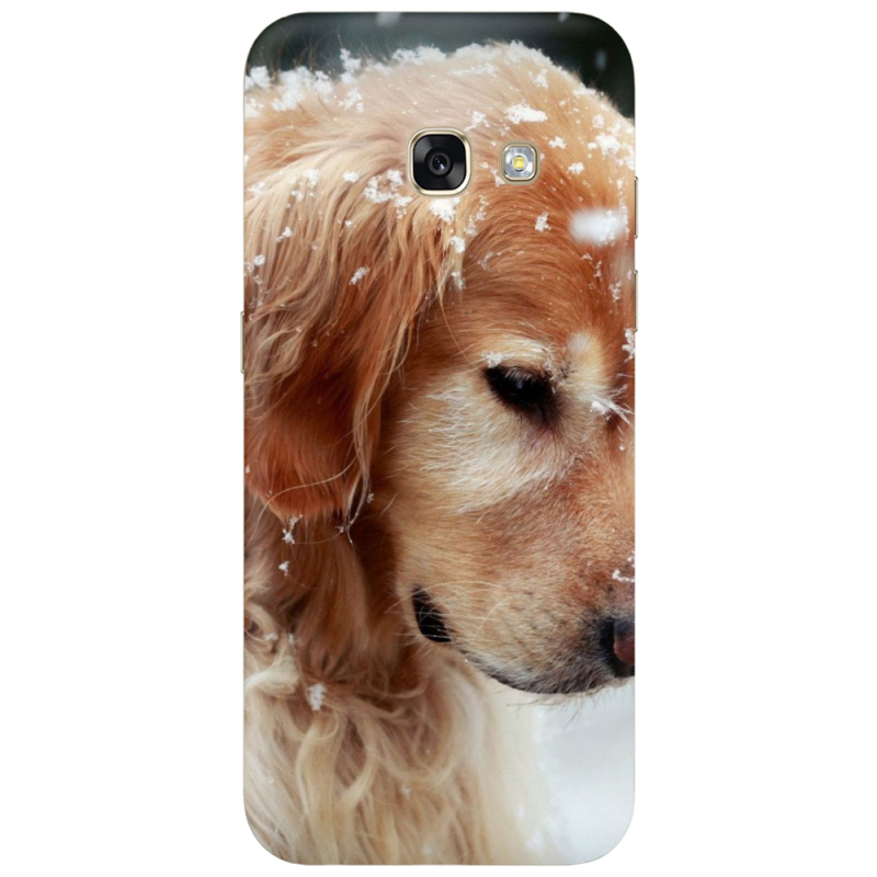 Чехол Uprint Samsung A320 Galaxy A3 2017 Golden Retriever