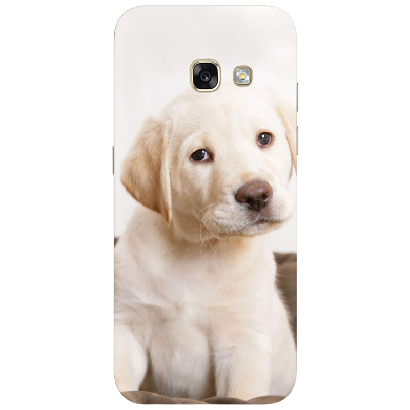 Чехол Uprint Samsung A320 Galaxy A3 2017 Puppy Labrador