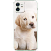 Чехол BoxFace Apple iPhone 12 Puppy Labrador