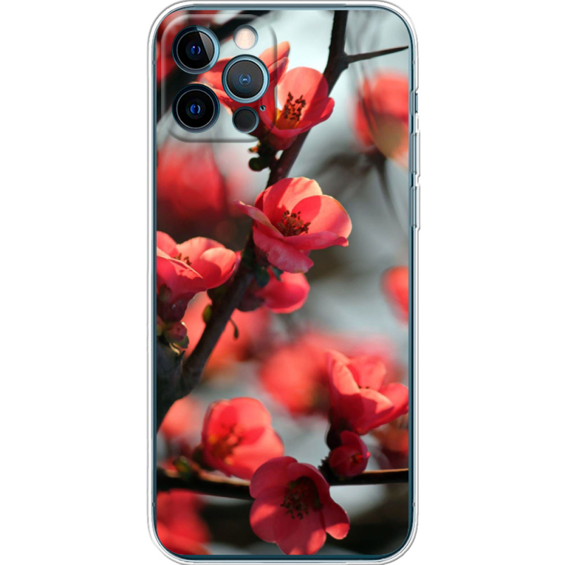 Чехол BoxFace Apple iPhone 12 Pro Awakening Spring