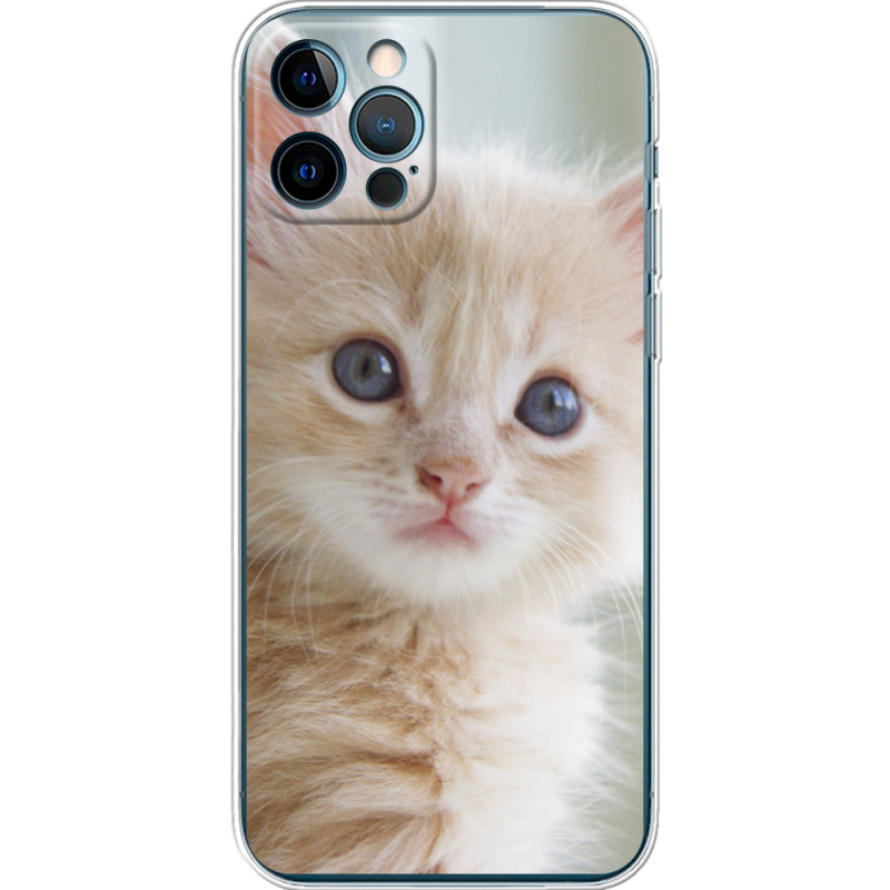 Чехол BoxFace Apple iPhone 12 Pro Animation Kittens