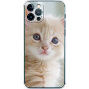 Чехол BoxFace Apple iPhone 12 Pro Animation Kittens