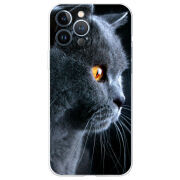 Чехол BoxFace Apple iPhone 13 Pro Max English cat