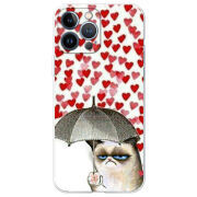 Чехол BoxFace Apple iPhone 13 Pro Max Raining Hearts