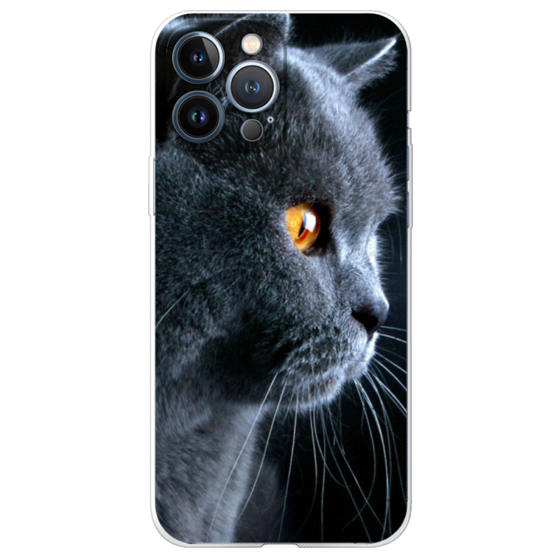 Чехол BoxFace Apple iPhone 13 Pro English cat