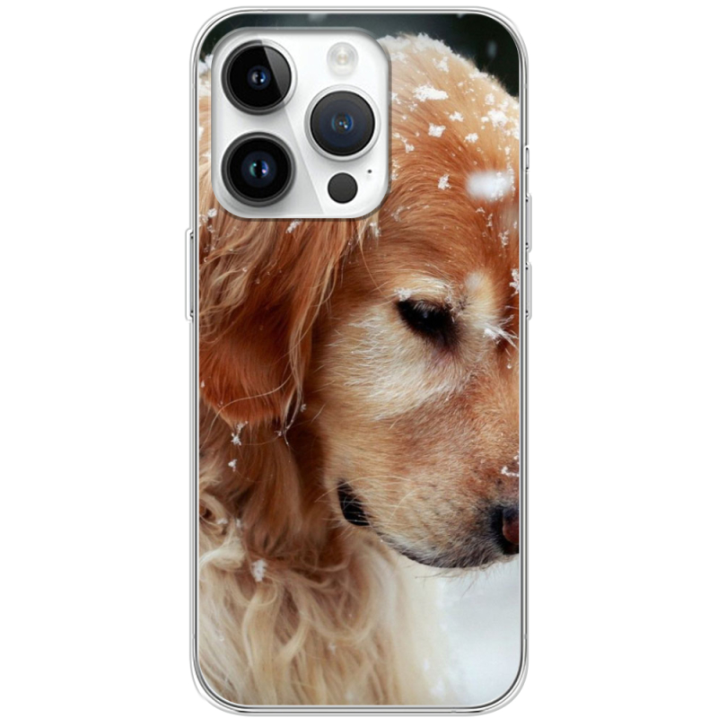 Чехол BoxFace Apple iPhone 14 Pro Golden Retriever