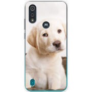 Чехол BoxFace Motorola E6i Puppy Labrador