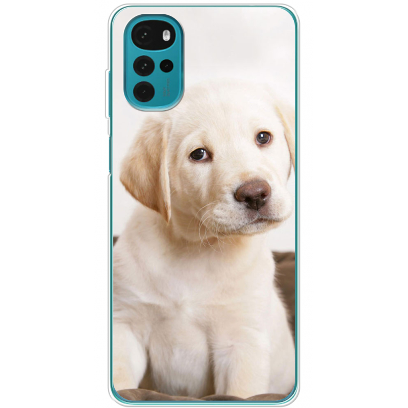 Чехол BoxFace Motorola G22 Puppy Labrador