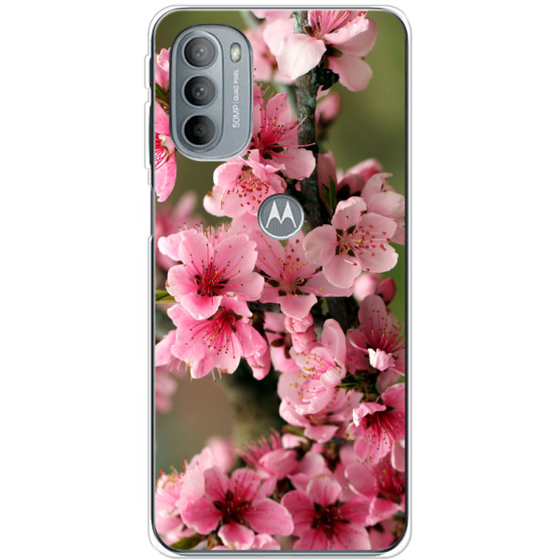 Чехол BoxFace Motorola G31 Вишневые Цветы