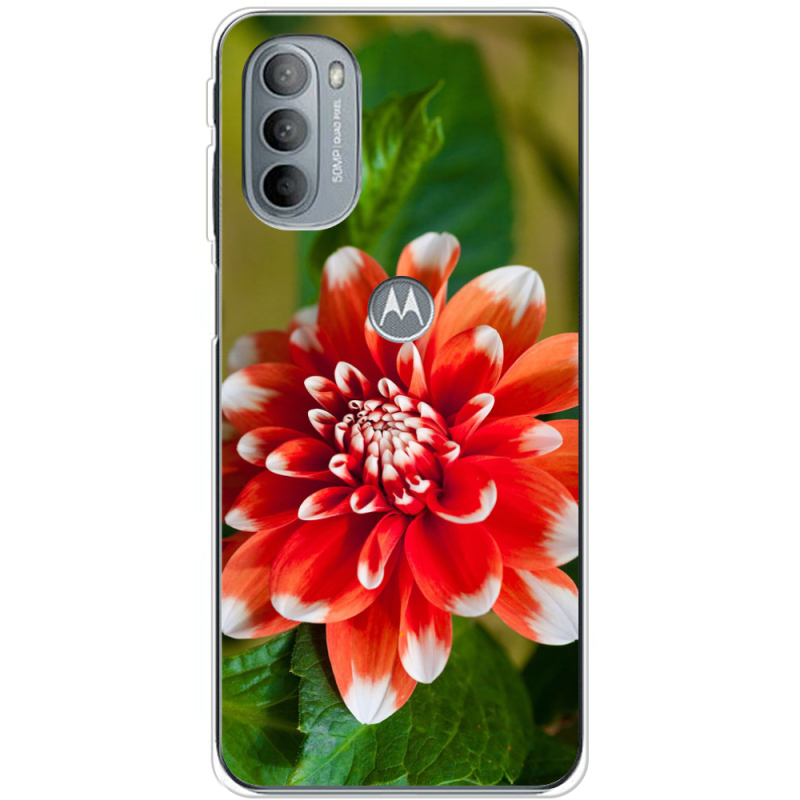 Чехол BoxFace Motorola G31 