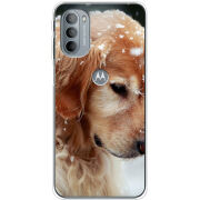 Чехол BoxFace Motorola G31 Golden Retriever