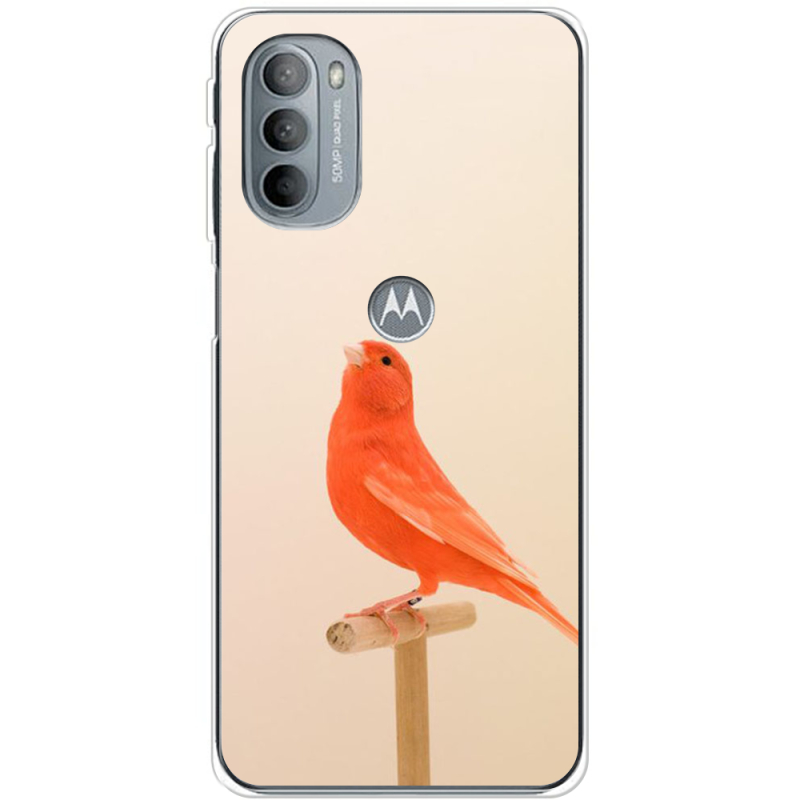 Чехол BoxFace Motorola G31 
