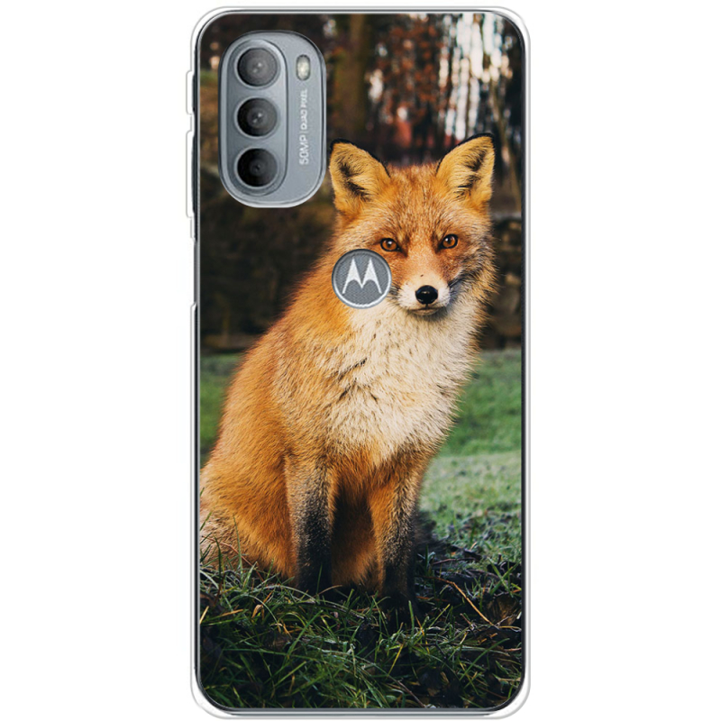 Чехол BoxFace Motorola G31 