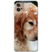 Чехол BoxFace Motorola G32 Golden Retriever